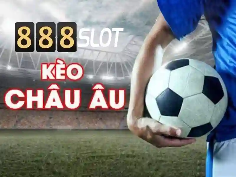 Khuyến mãi và hỗ trợ khách hàng