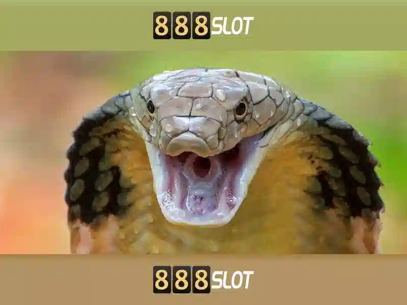 Những sản phẩm và dịch vụ cốt lõi của istana slot 888