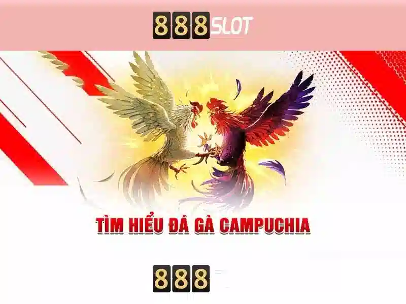 Nền tảng và giao diện