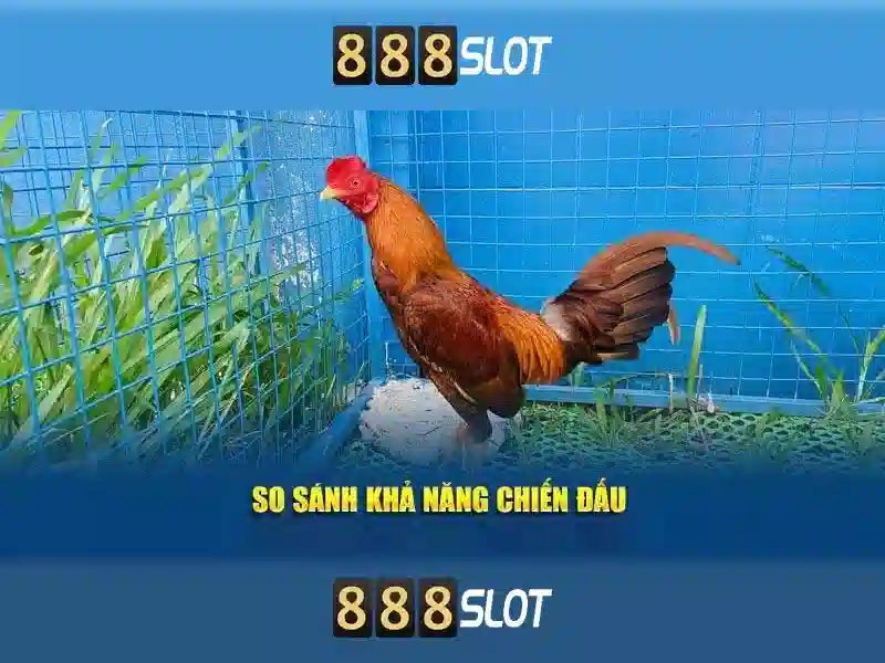 An toàn và thanh toán