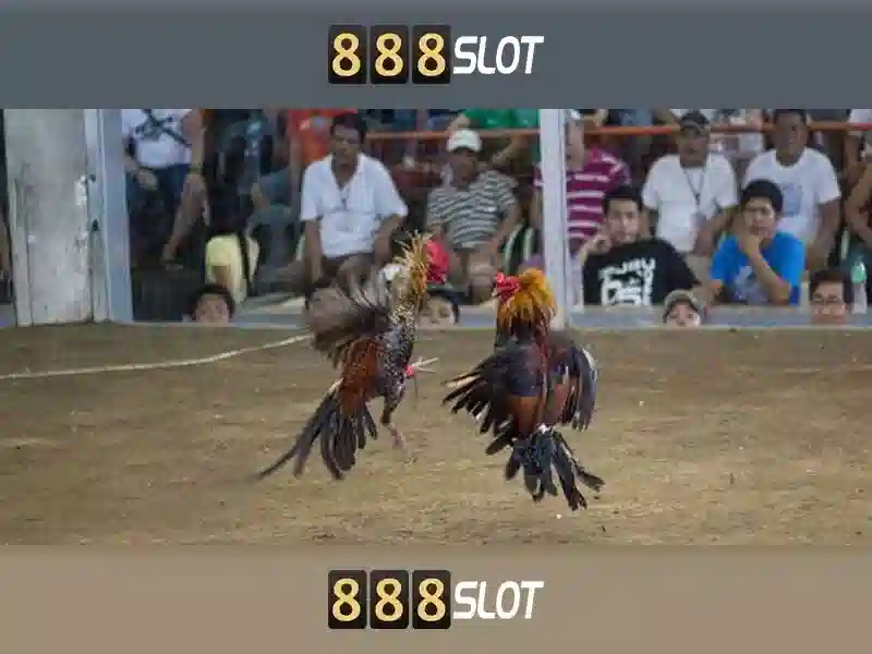 Cách chơi và trải nghiệm