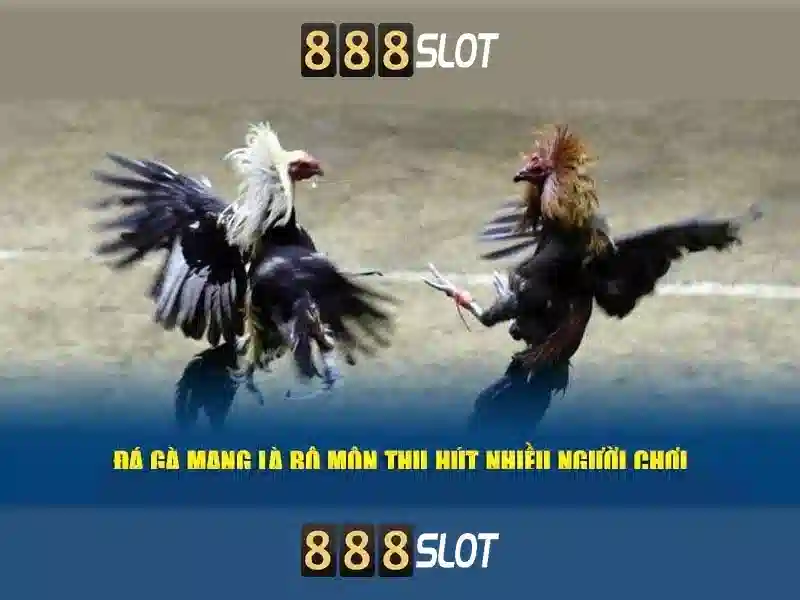 888slot — Nền tảng casino trực tuyến nổi bật