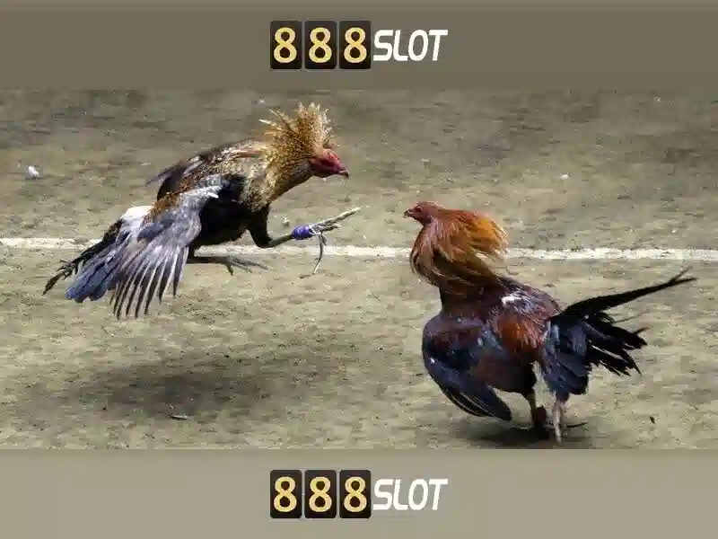 Ý nghĩa nguồn gốc và sứ mệnh của xyz 888 slot