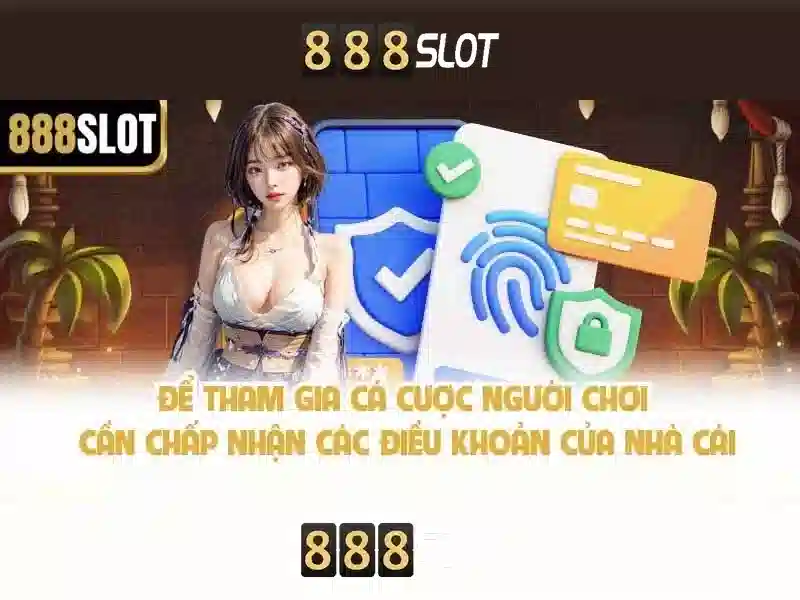 Trải nghiệm người dùng và giao diện