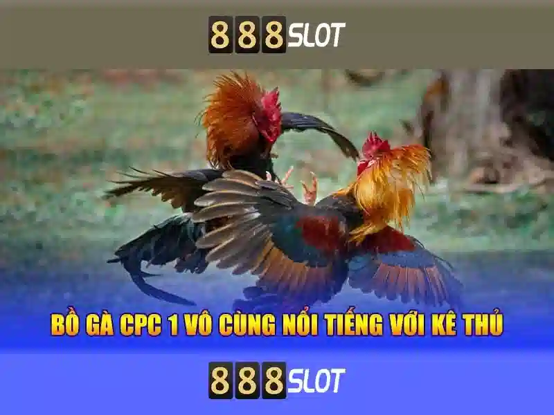 nusa slot 888: Trải nghiệm đỉnh cao và chiến lược giải trí