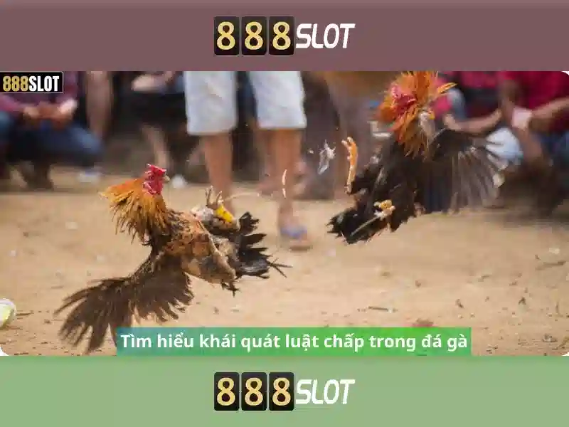Khuyến mãi và chương trình thành viên