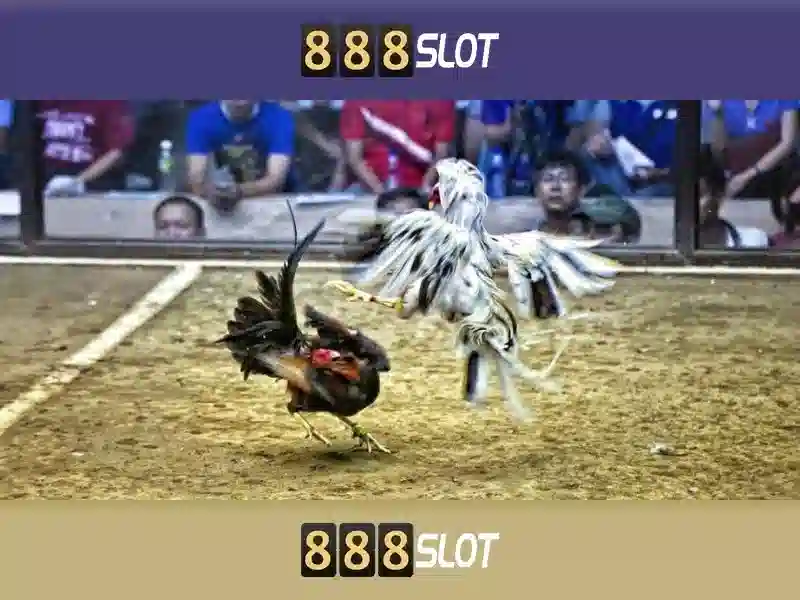 An toàn và đánh giá