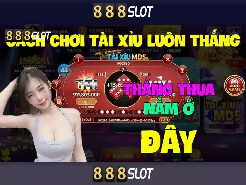 Giao diện và trải nghiệm người dùng