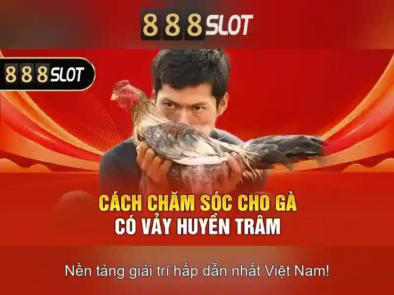 Trò chơi và khuyến mãi