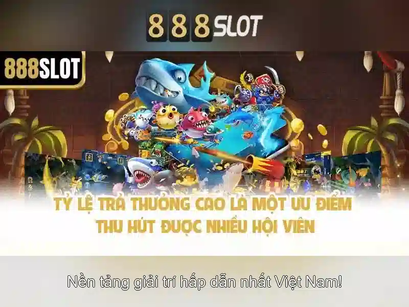 <!--IMG_PLACEHOLDER alt>Trải nghiệm người dùng và phản hồi cộng đồng-->