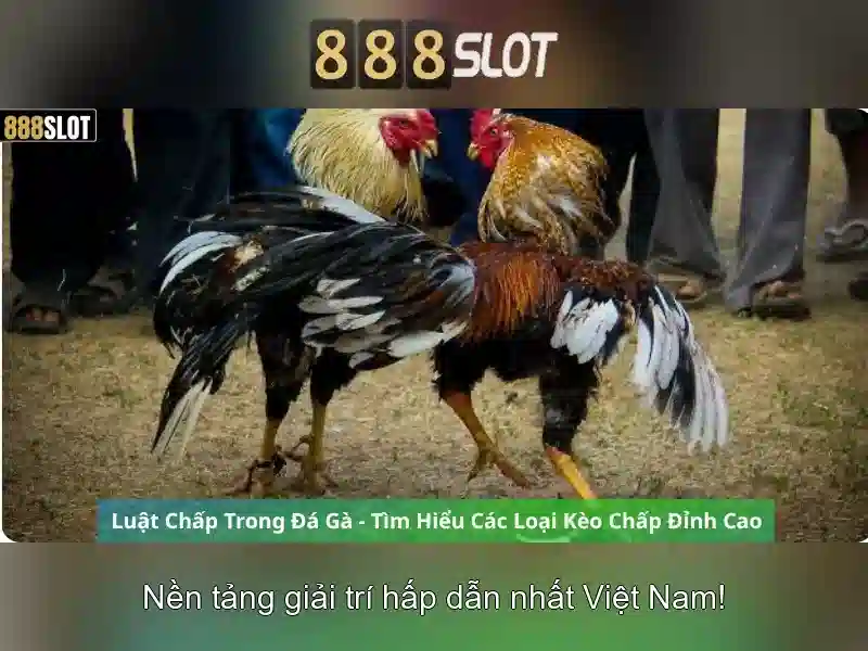 888slot: Đánh giá và Trải nghiệm Casinos trực tuyến hàng đầu