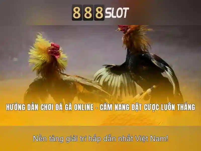An toàn và thanh toán