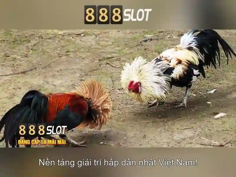 888slot: nền tảng slot trực tuyến hàng đầu