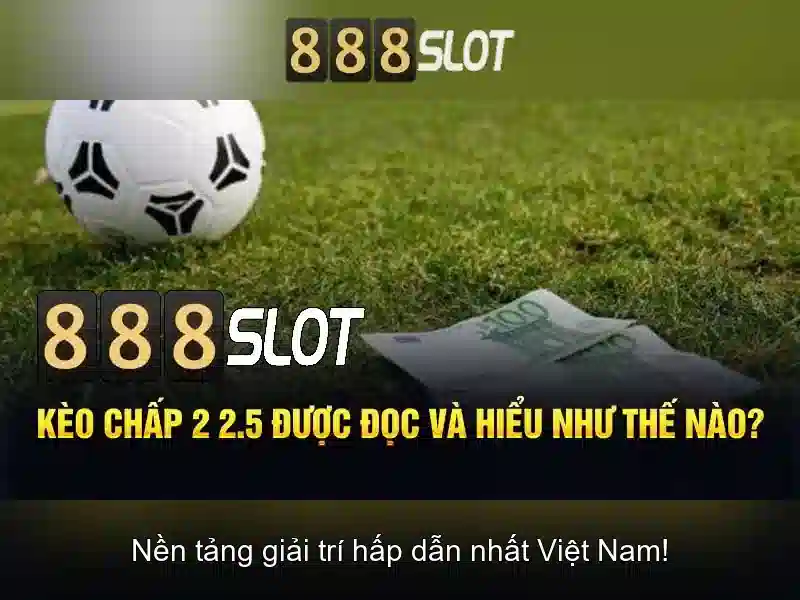 Giao diện người dùng và trải nghiệm
