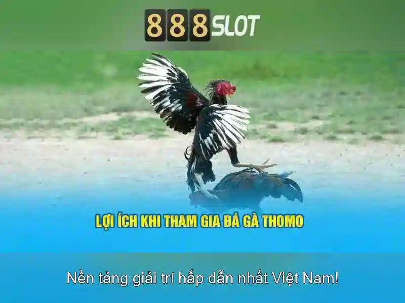 Trải nghiệm người dùng và giao diện