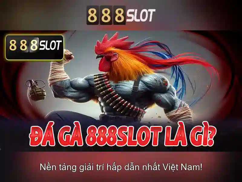 Khuyến mãi và chương trình thưởng