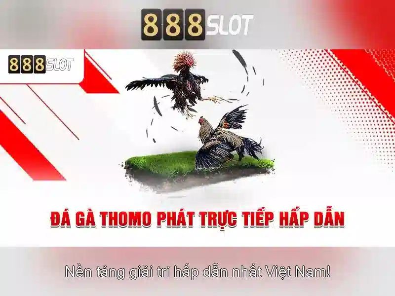 Khuyến mãi và an toàn