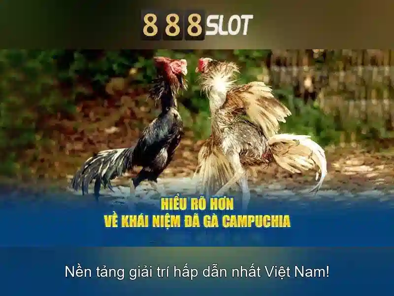 Khuyến mãi và chương trình thưởng hấp dẫn