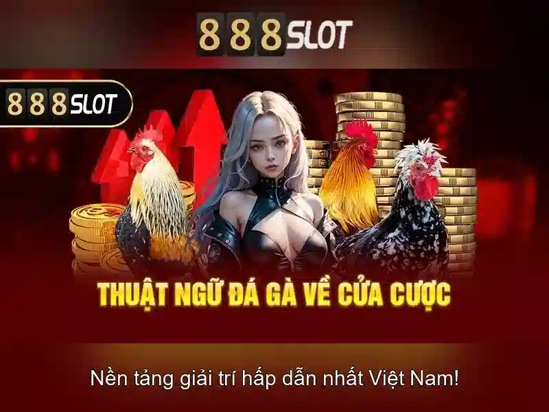 Kết luận
