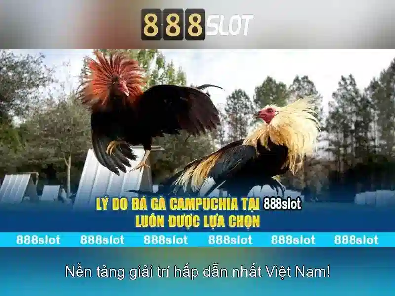 Tính năng nổi bật