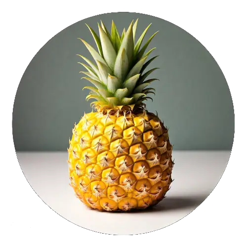 artralon componentes